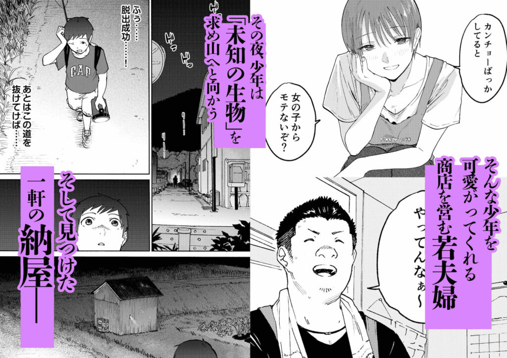 サンプル画像