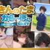 きんのたまからっぽになるまで〜ボーイッシュ編〜 アイキャッチ画像 【同人 NTR】