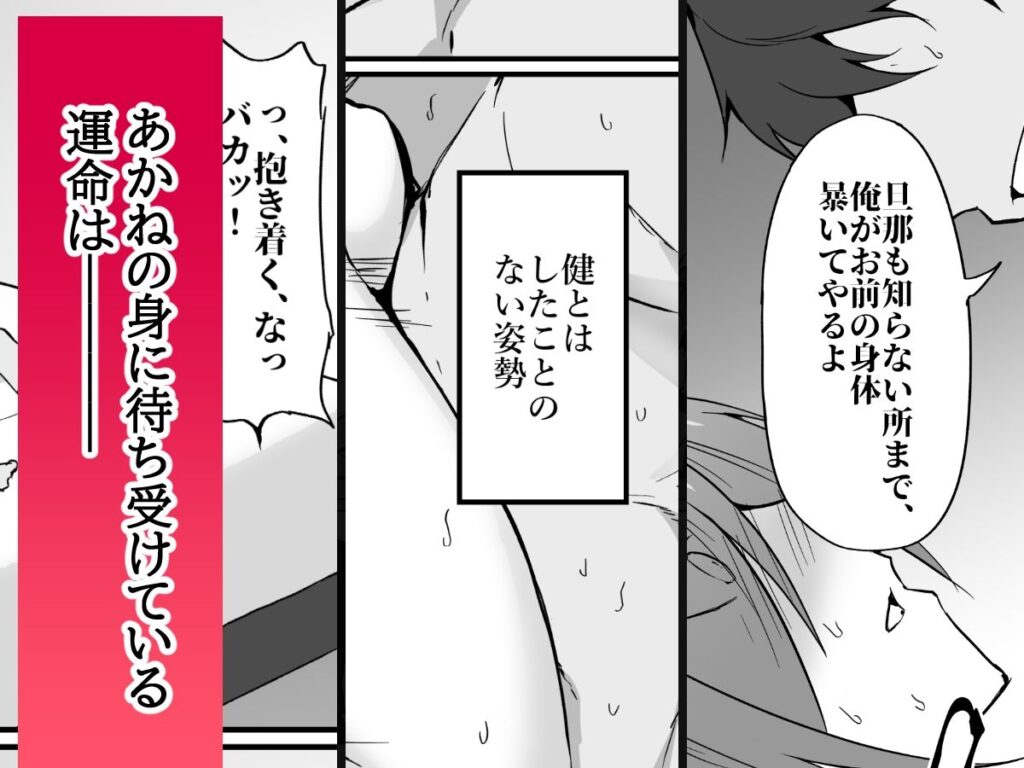サンプル画像